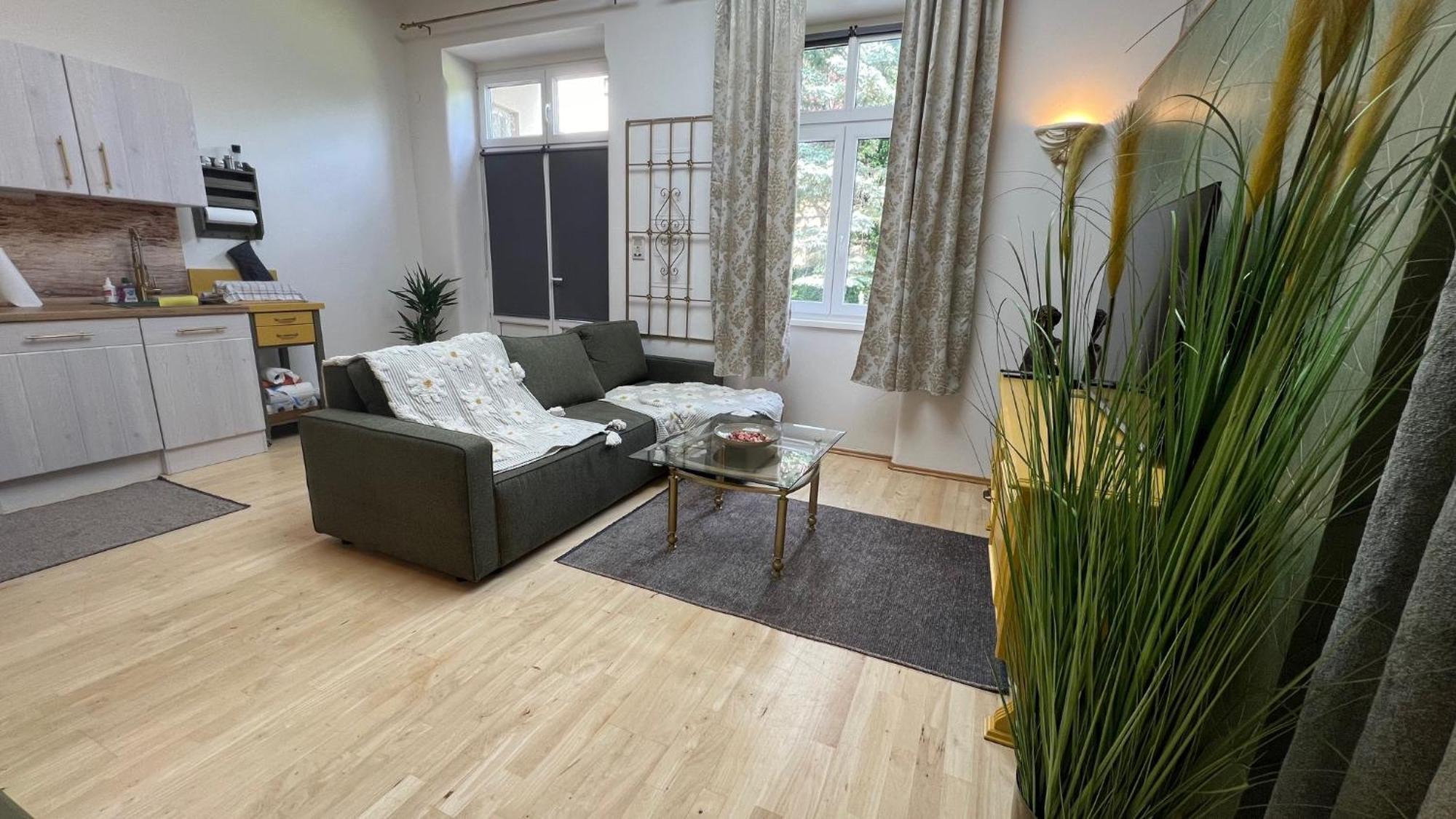 Appartment Rosengarten バーデン エクステリア 写真